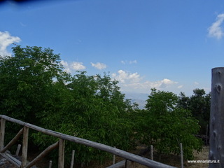 fugio monte Crisimo11-07-2020 12